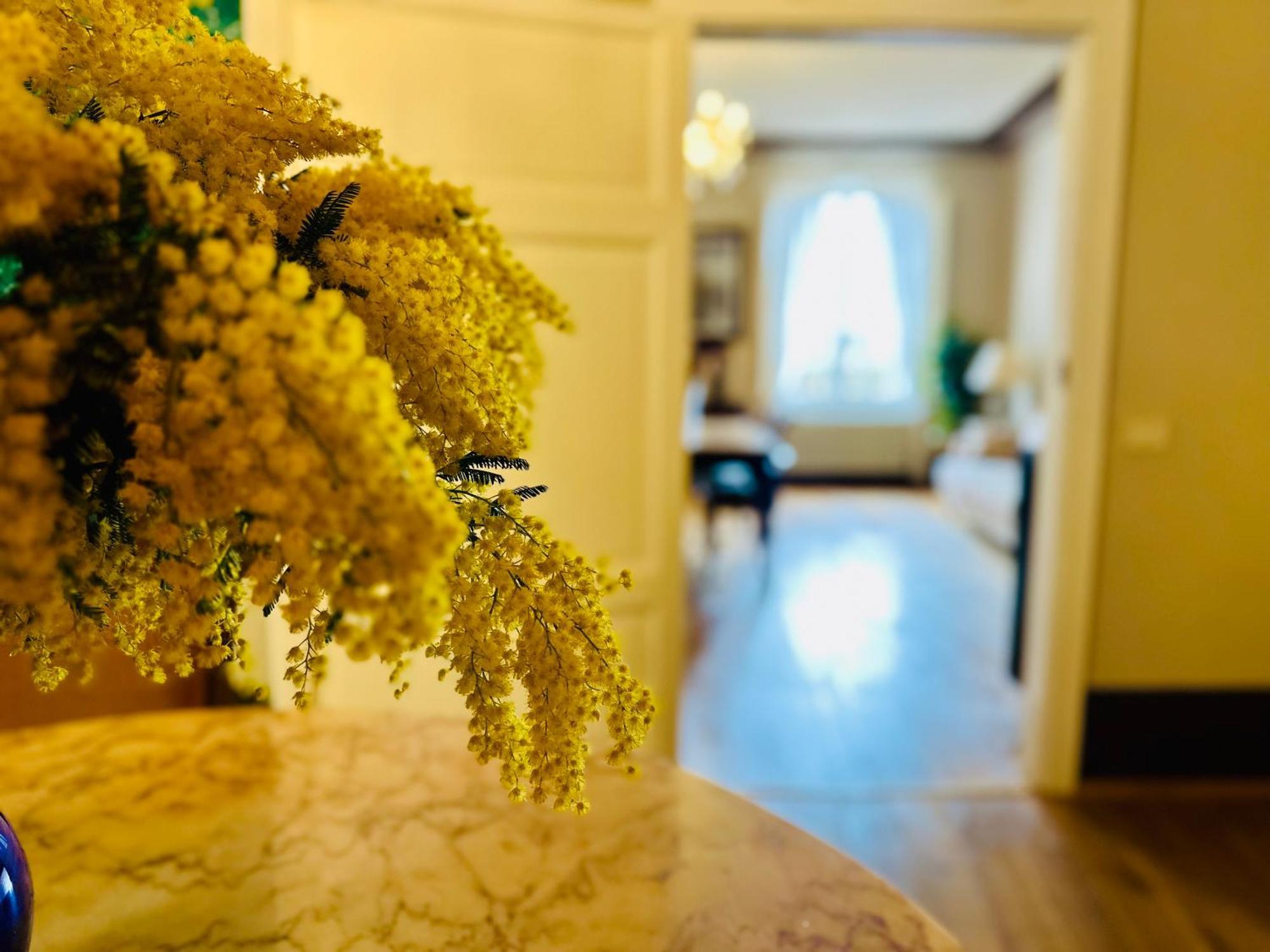 Domus An- Two Bedrooms Apartment -Antique And Historical Home سيينا المظهر الخارجي الصورة